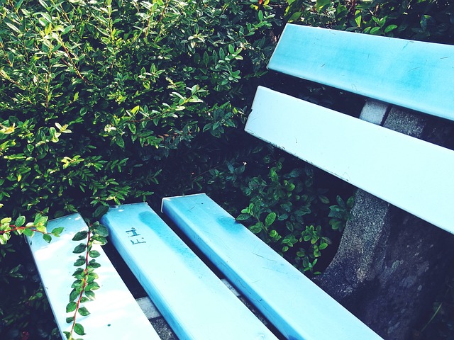 势的关键因 势的关键因