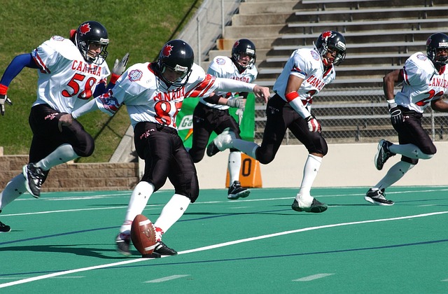 高风险与高 高风险与高