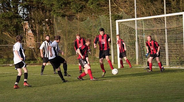 杏悦娱乐网页版