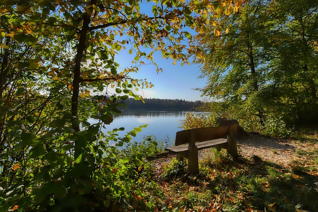 杏悦娱乐网页版