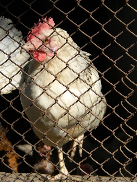 杏悦娱乐网页版