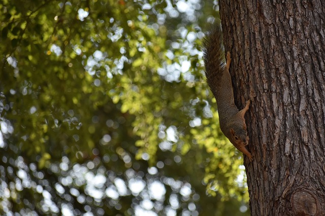 稳定情绪 稳定情绪