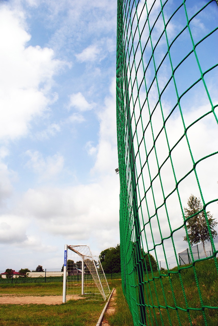 的心理优势 的心理优势